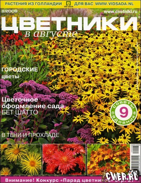 Цветники №8 (август) 2009