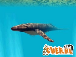 Underwater.jpg