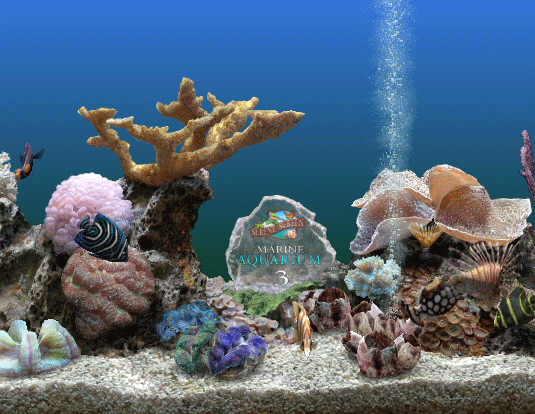 serenescreen marine aquarium 3 serenescreen marine aquarium 3