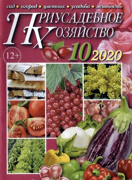 Приусадебное хозяйство №10 октябрь 2020 + приложения Цветы в саду и дома Дачная кухня