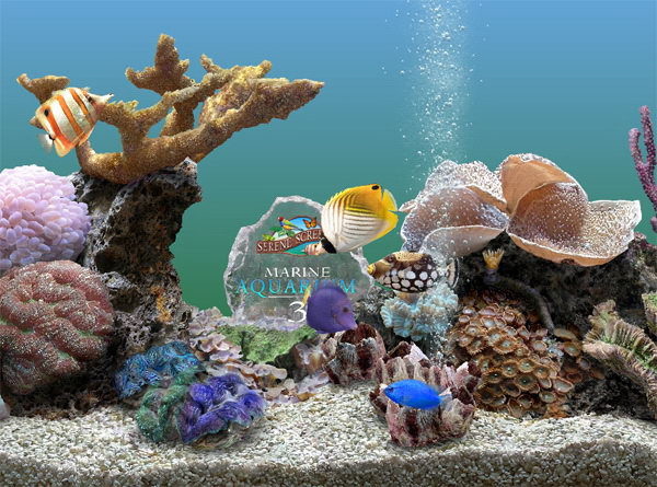 SereneScreen Marine Aquarium