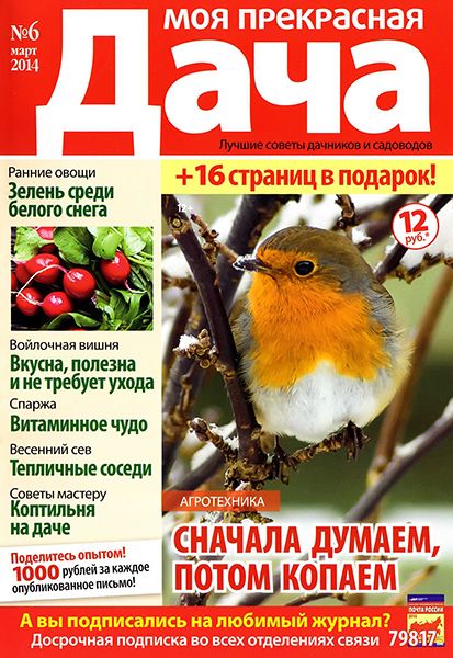 Моя прекрасная дача №6 2014