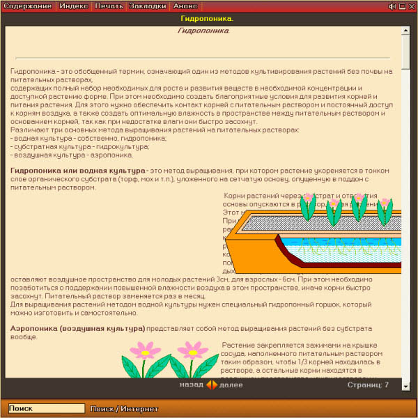 Энциклопедия комнатных растений