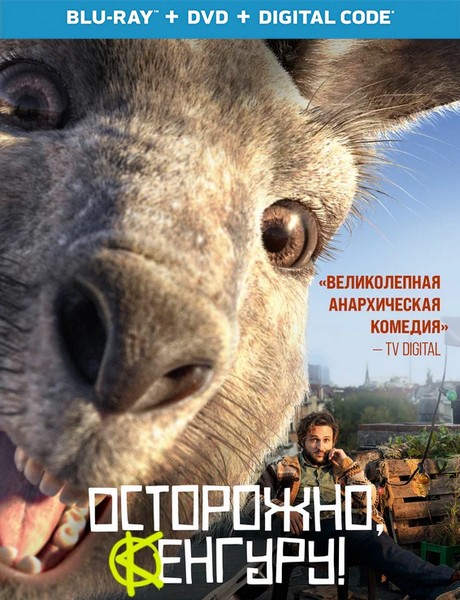 Die Känguru-Chroniken