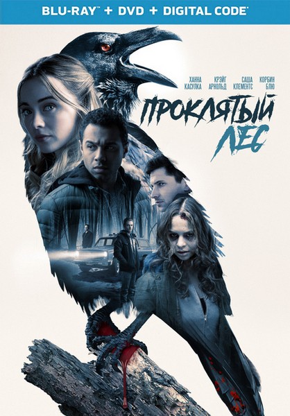 Witches in the Woods