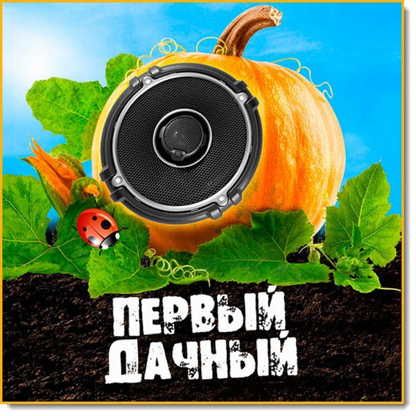 Первый дачный (2015)