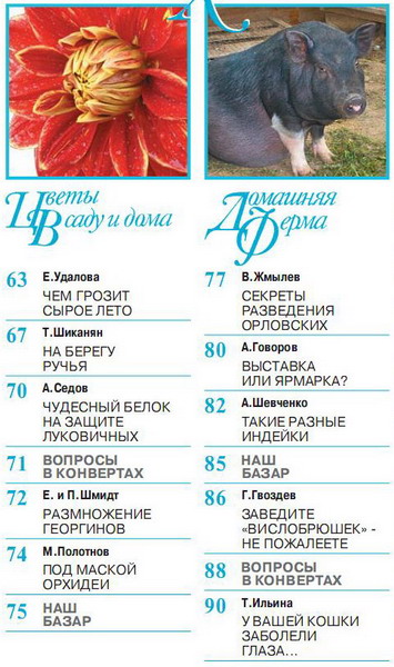 Приусадебное хозяйство №1 (январь 2013)