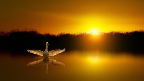 Computer Desktop Wallpapers Collection. www.cwer.ru