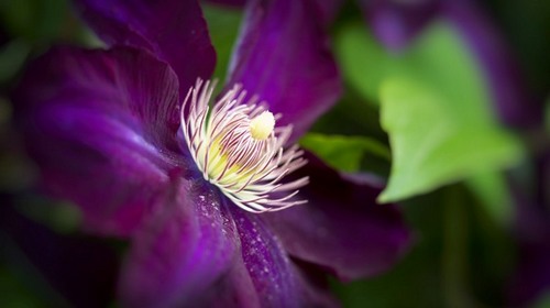 Computer Desktop Wallpapers Collection. www.cwer.ru