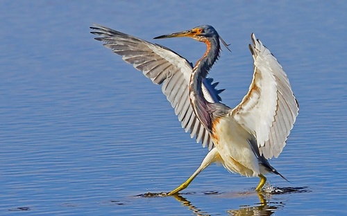 Computer Desktop Wallpapers Collection. www.cwer.ws