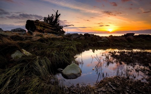 Computer Desktop Wallpapers Collection. www.cwer.ru