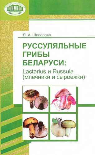 Руссуляльные грибы Беларуси