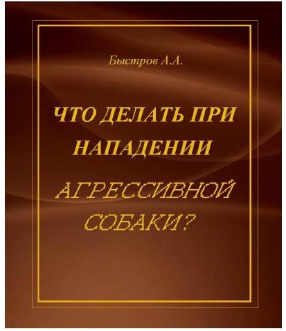 А.А. Быстров. Что делать при нападении агрессивной собаки?