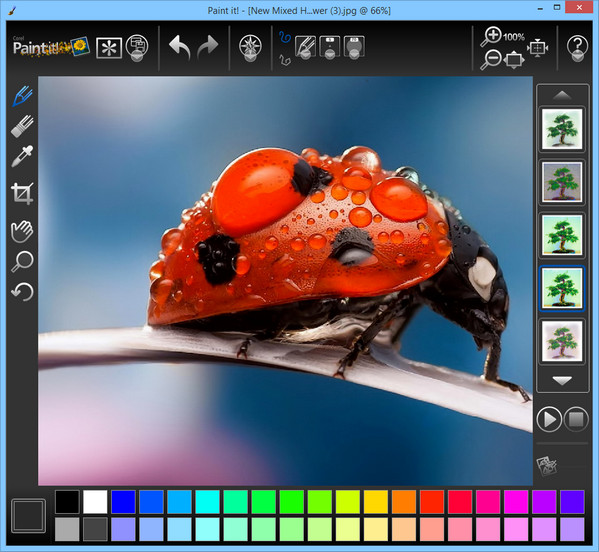 Corel Paint It!