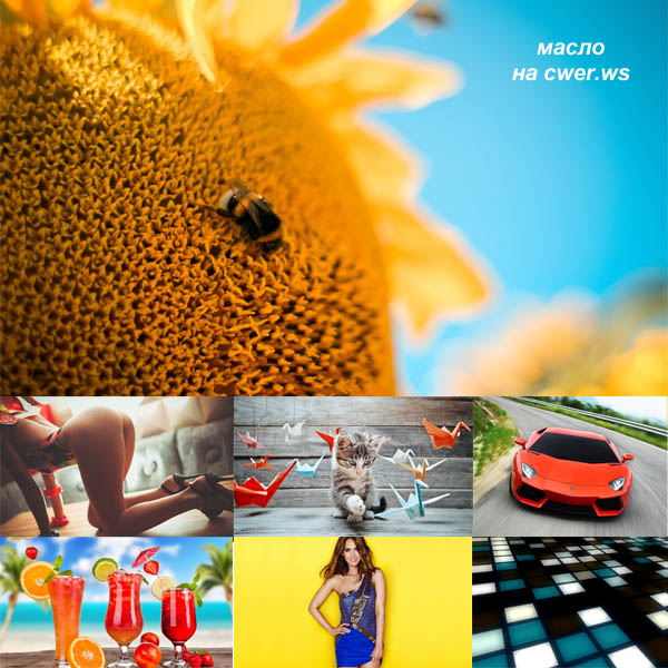 Best Mixed Wallpapers Pack #447-448