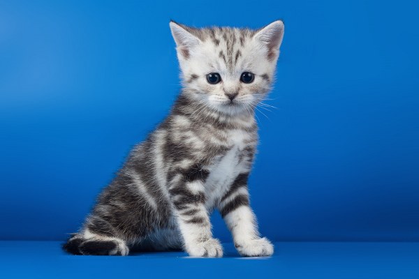 Best Mixed Wallpapers Pack #325-326