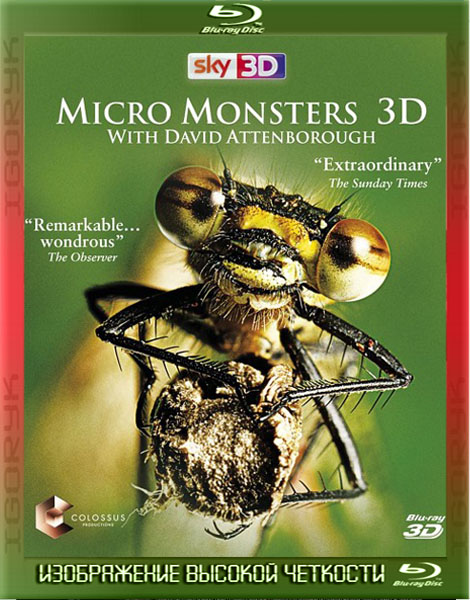 Микромонстры с Девидом Аттенборо (2013) HDRip