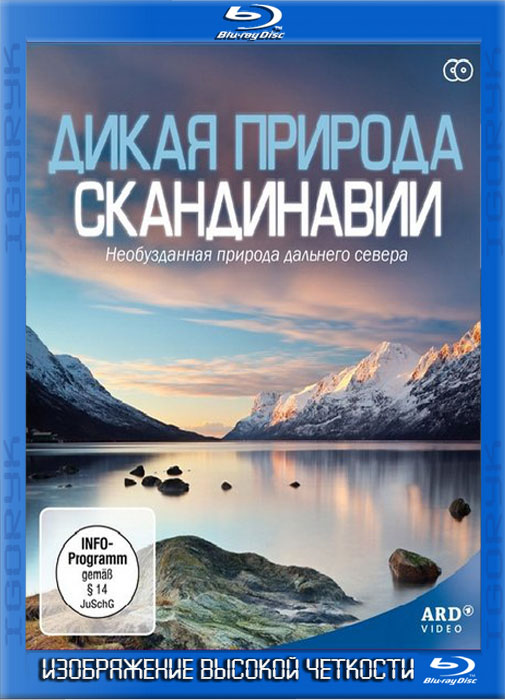 Дикая природа Скандинавии