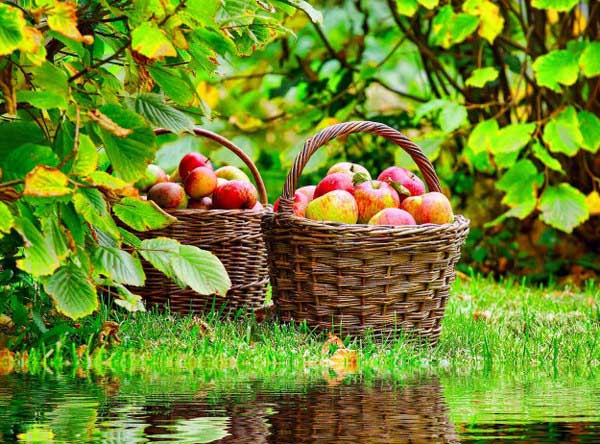 New Mixed HD Wallpapers Pack 63