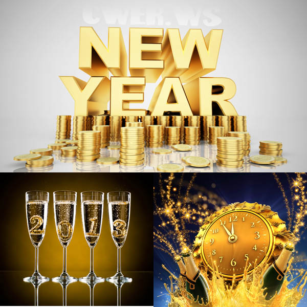 Новый год 2013