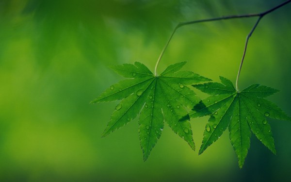 New Mixed HD Wallpapers Pack 115