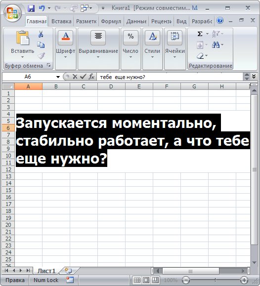 Portable Microsoft Office 2007 SP2 Pro MAX-Pack 2010 Rus