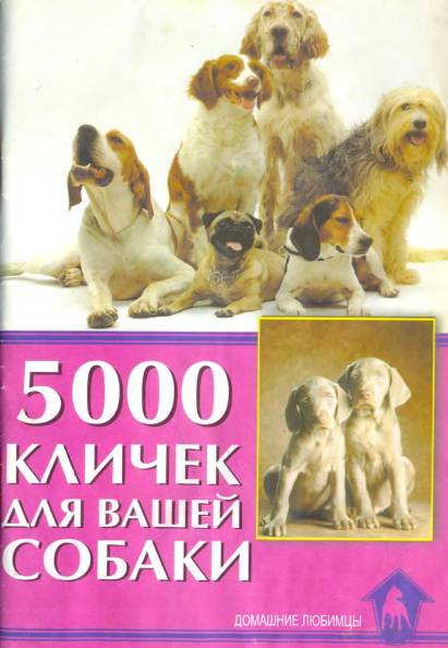 5000 кличек для вашей собаки